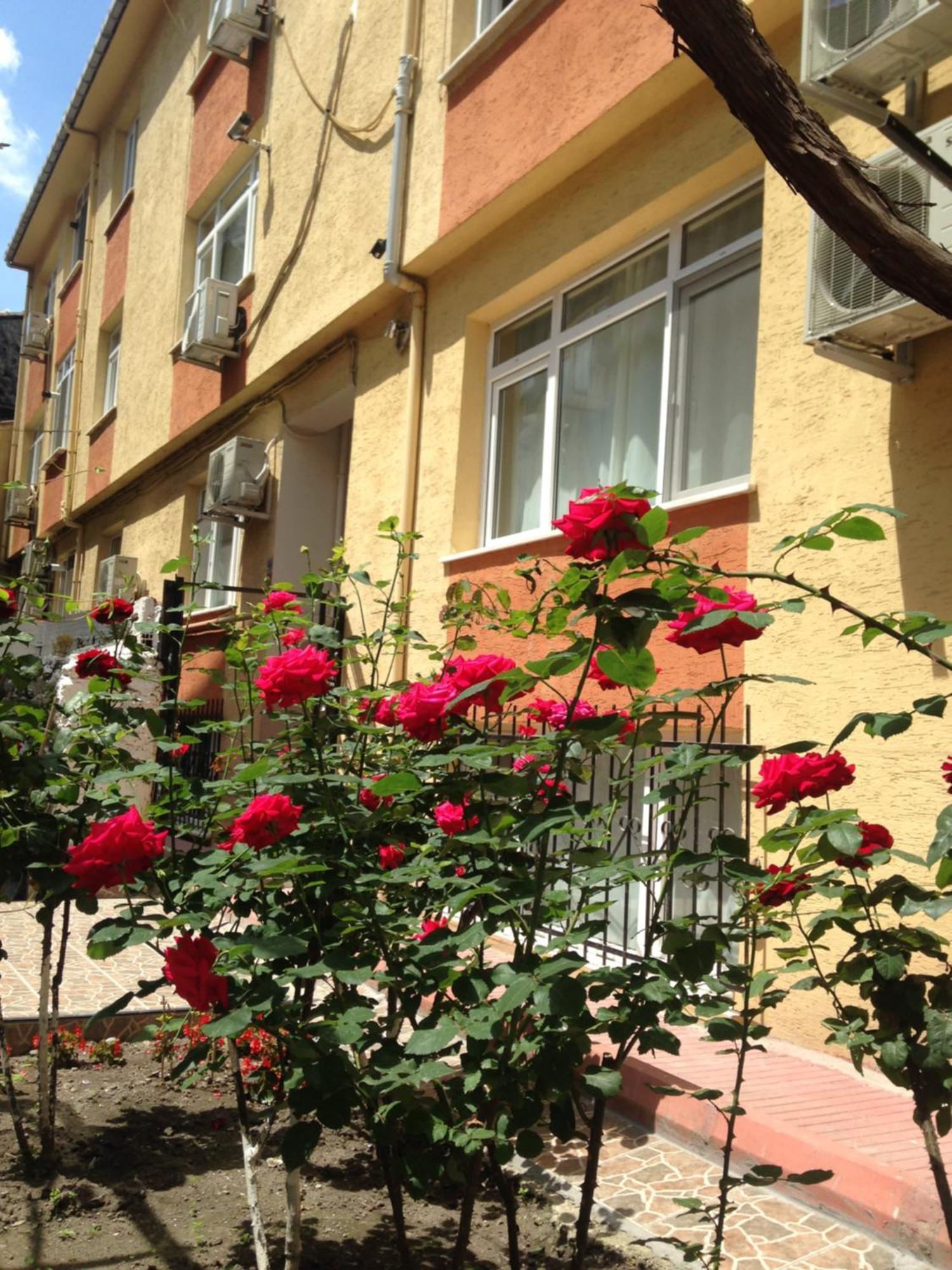 Sultanahmet Deluxe Yilmaz Apart อิสตันบูล ภายนอก รูปภาพ